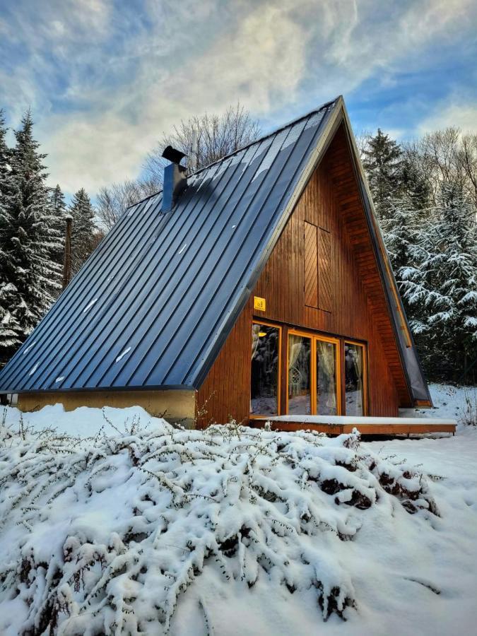 Chata Pod Tolstejnem Villa Jiretin pod Jedlovou Exterior photo