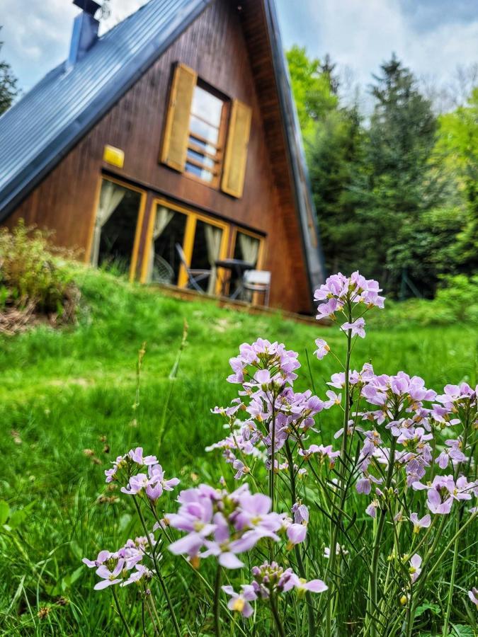 Chata Pod Tolstejnem Villa Jiretin pod Jedlovou Exterior photo